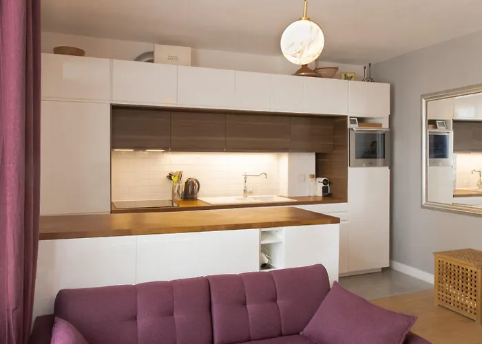 Joli Duplex Confort T2 Paris Porte De Versailles